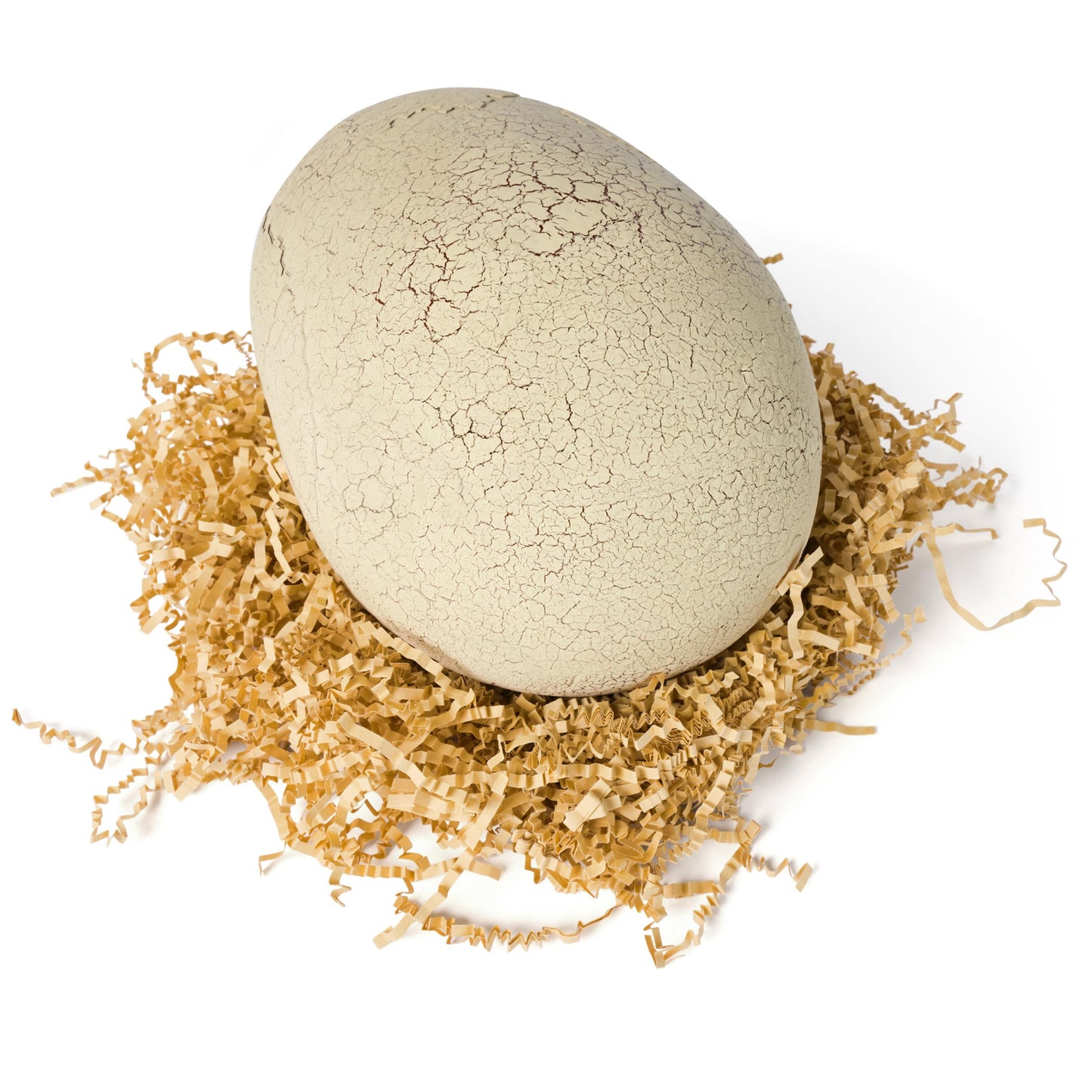 Jurassic World Interactive Toy Dinosaur & Egg
