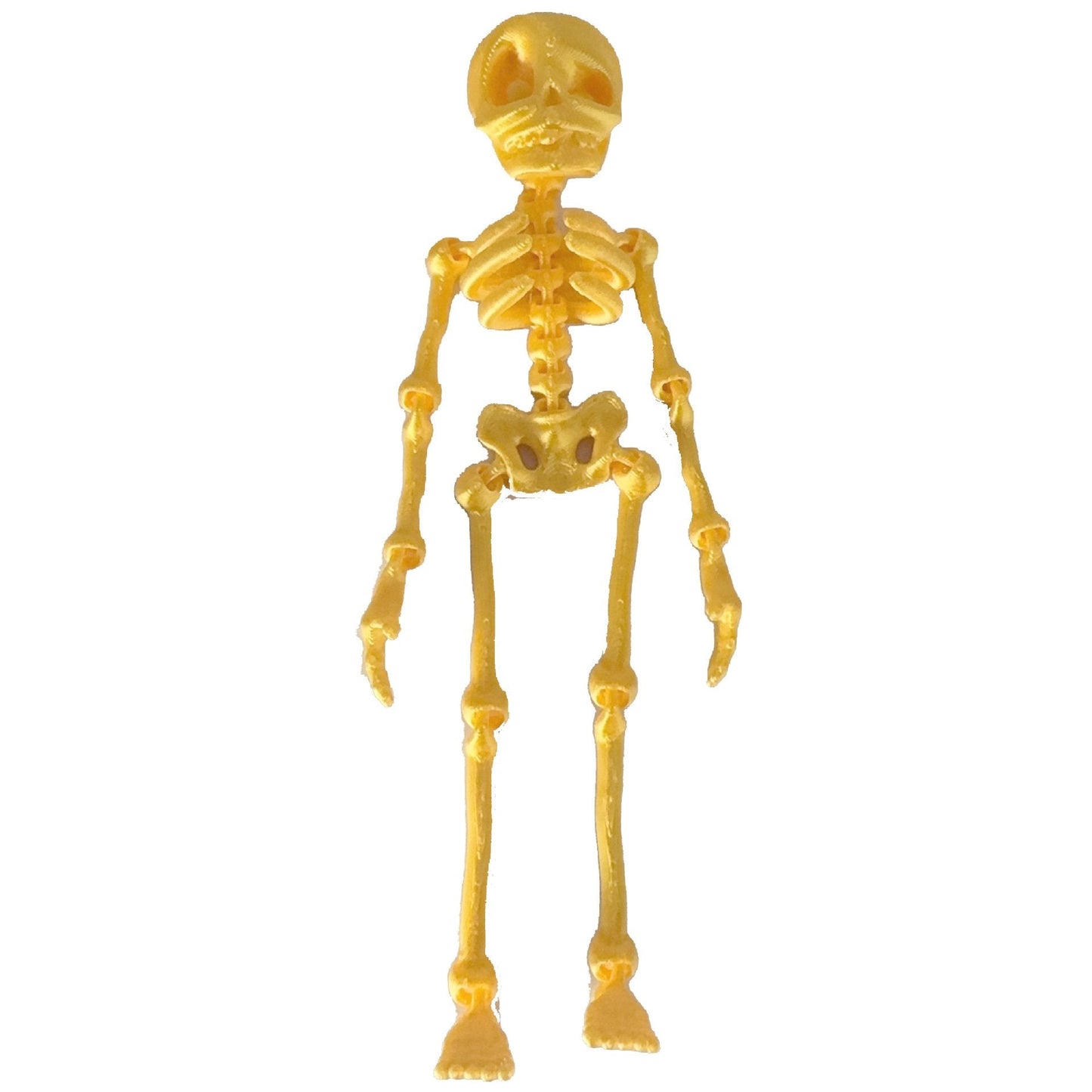 💀 Skeleton Refrigerator Magnet